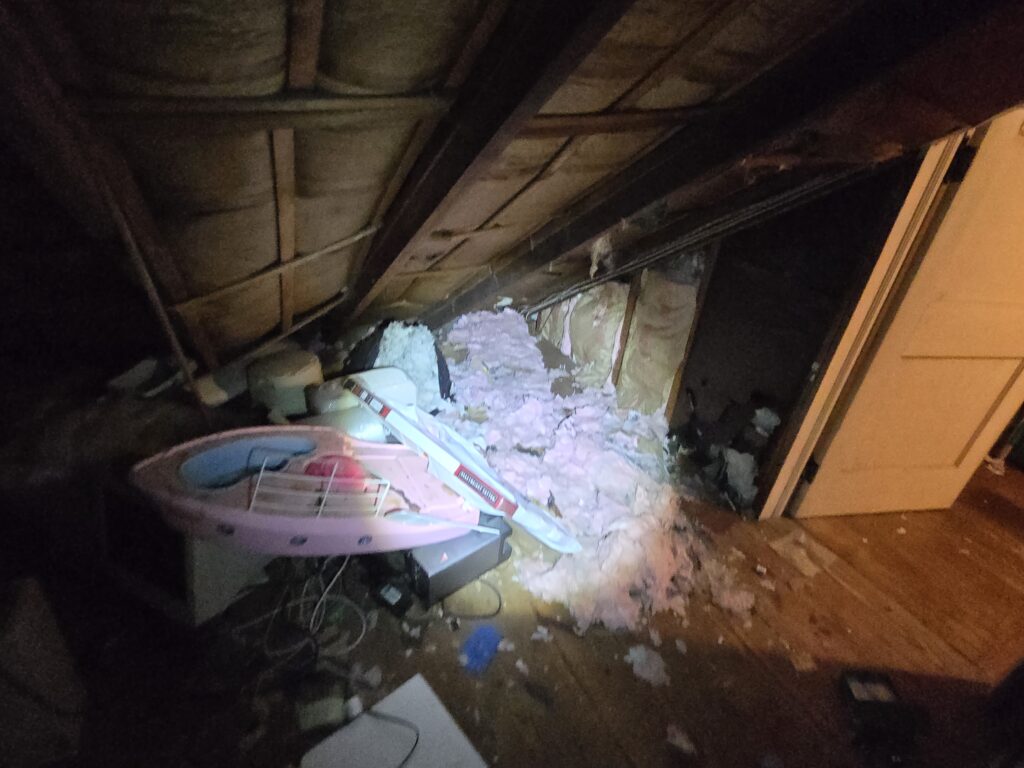 Damaged insulation in attic