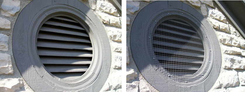 vent repair and screening exclusion for squirrel before and after