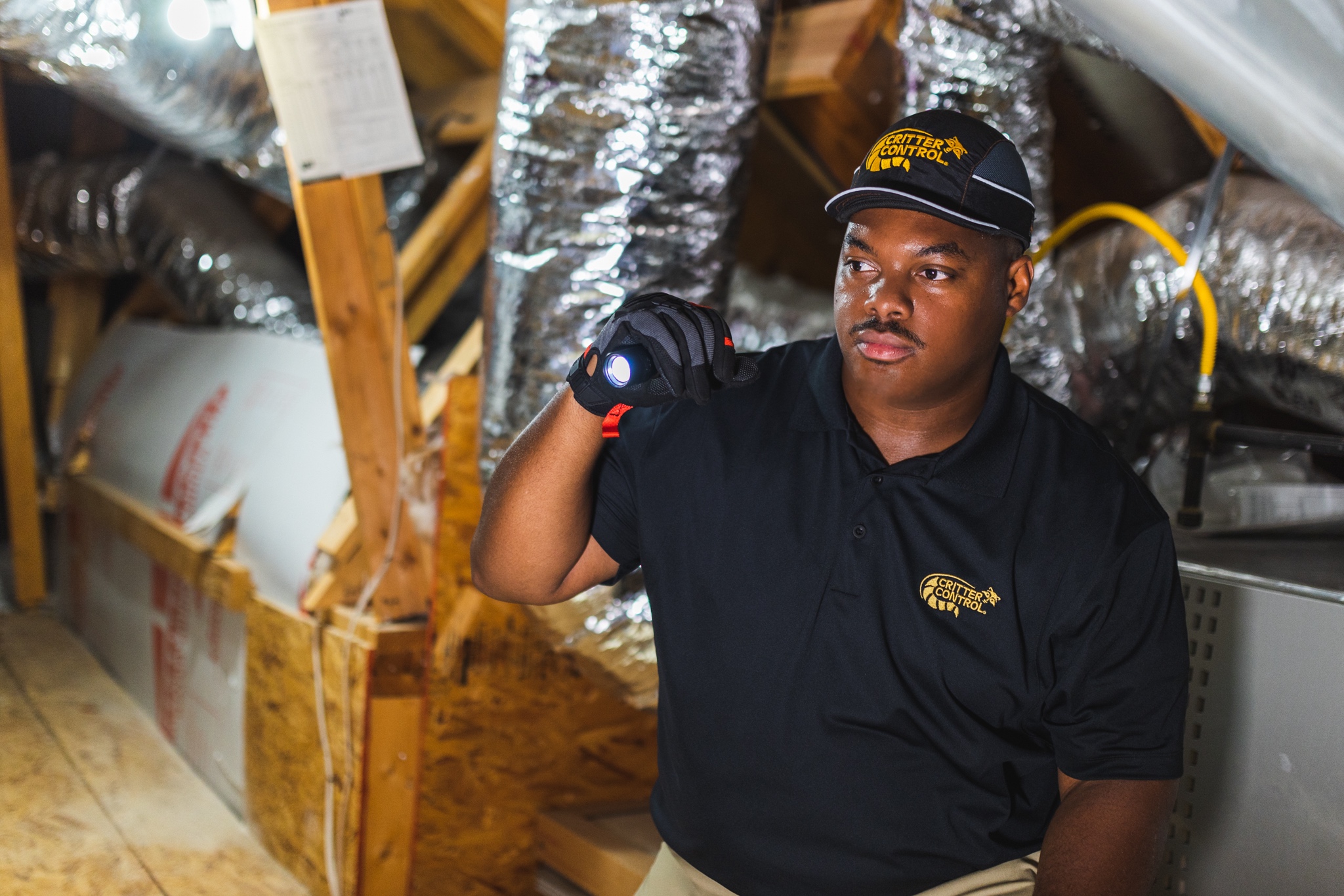 Critter Control Attic inspection ductwork