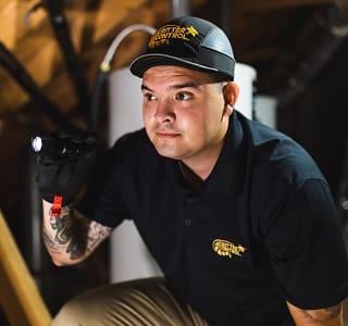 Attic inspection for pests and wildlife