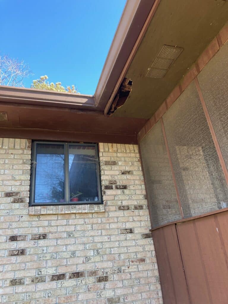 Squirrel entry soffit gnawing