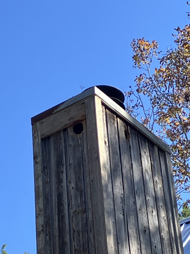 Woodpecker hole on wooden Chimney