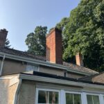 chimney swift problem in chimney