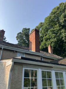 chimney swift problem in chimney