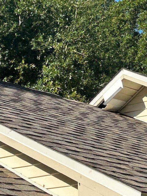 animal hole roof gnawed santa rosa beach