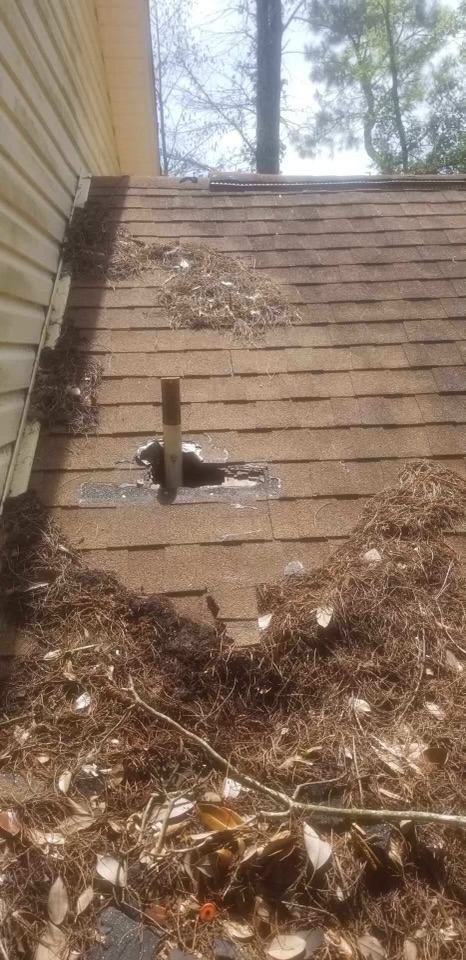 roof damage in panama city beach