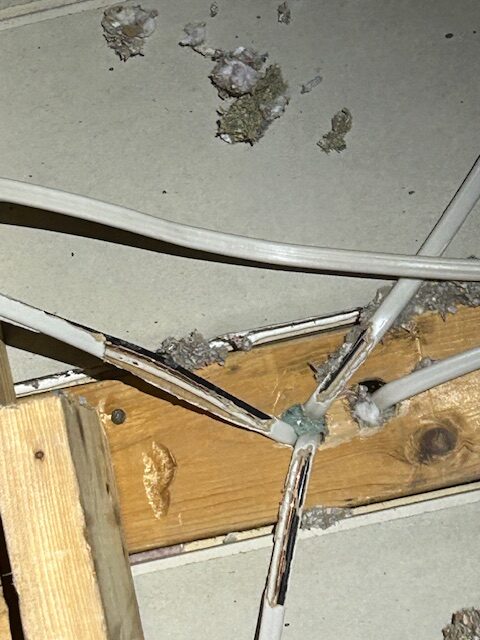 Frayed wires from rodent gnawing