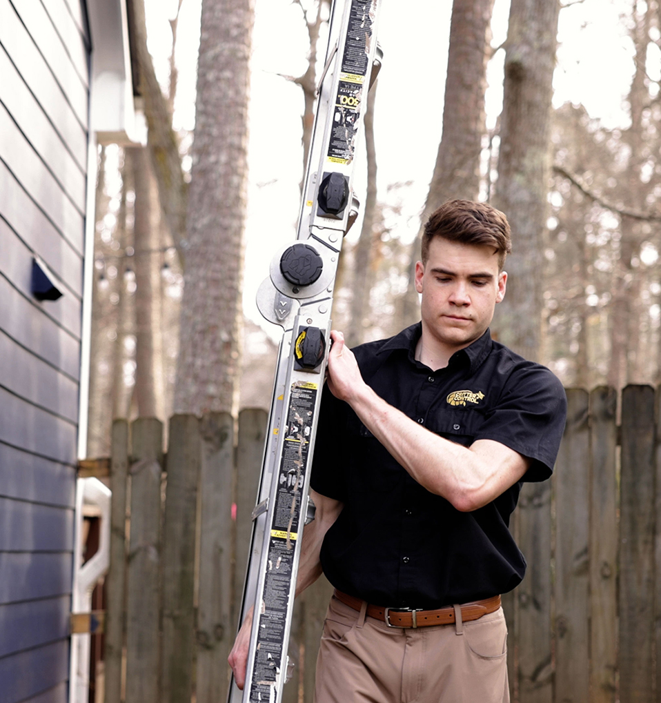 Critter Control technicial carrying a ladder