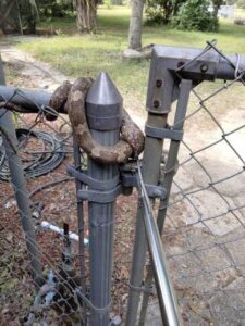 snake climbing chain link fence