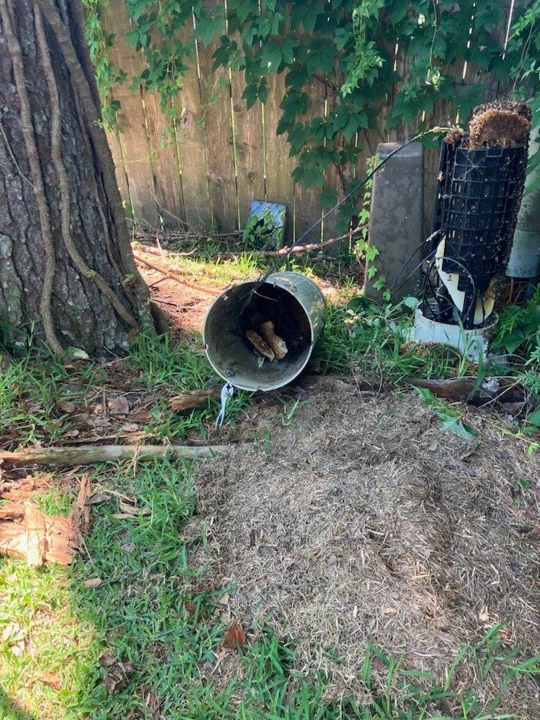 stinging insect nest removal in pipe